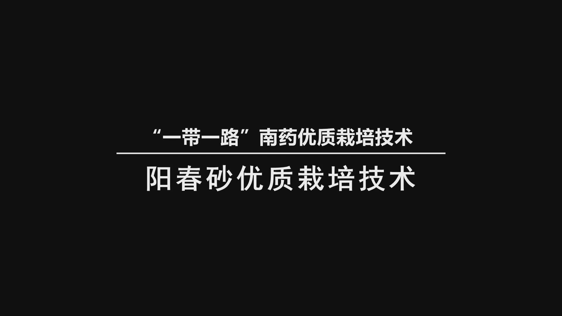 《“一带一路”优质南药栽培技术 阳春砂优