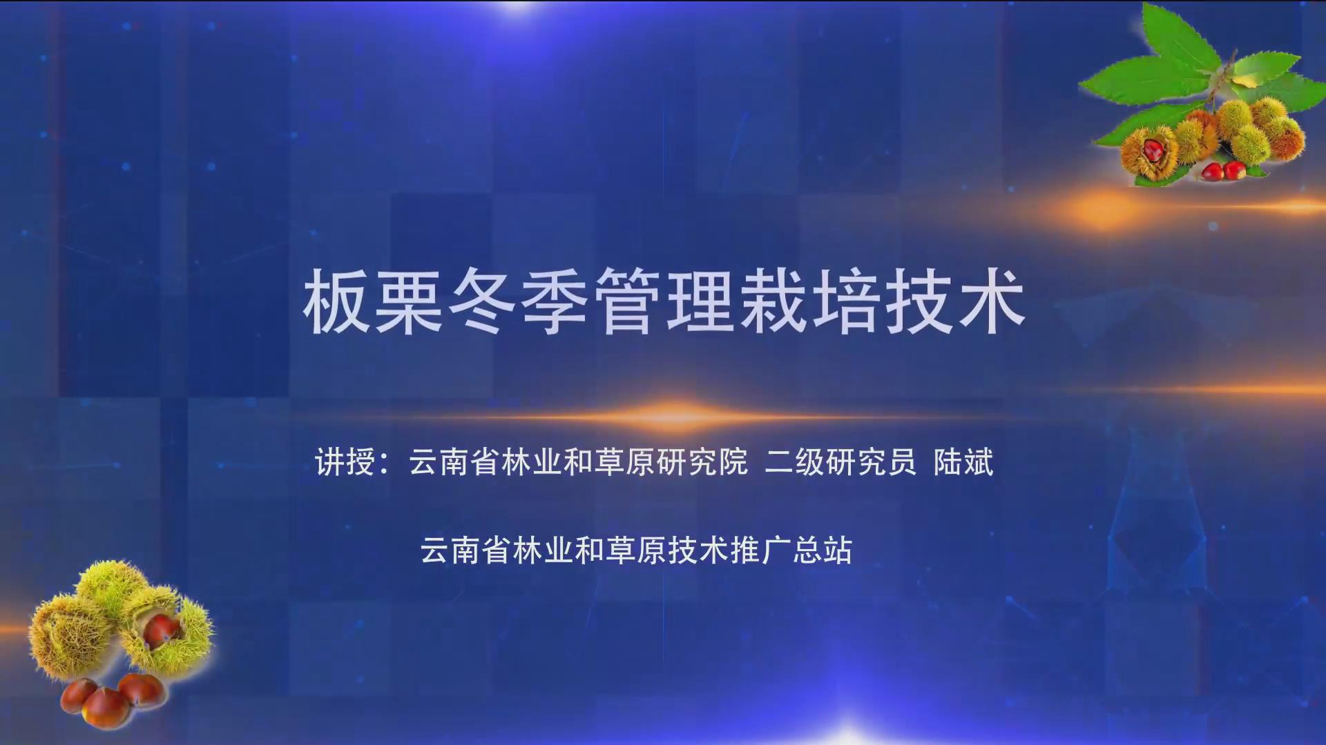 板栗冬季管理栽培技术(下)