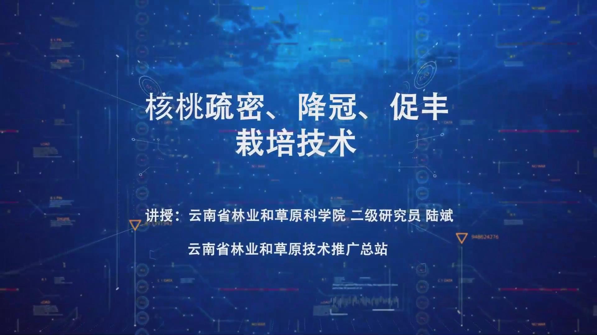 核桃疏密降冠速丰栽培技术（下）